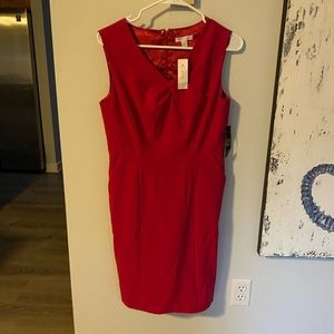 NWT New York & Company Dress. Stretch. Size 2. Beautiful pink color. Pockets.